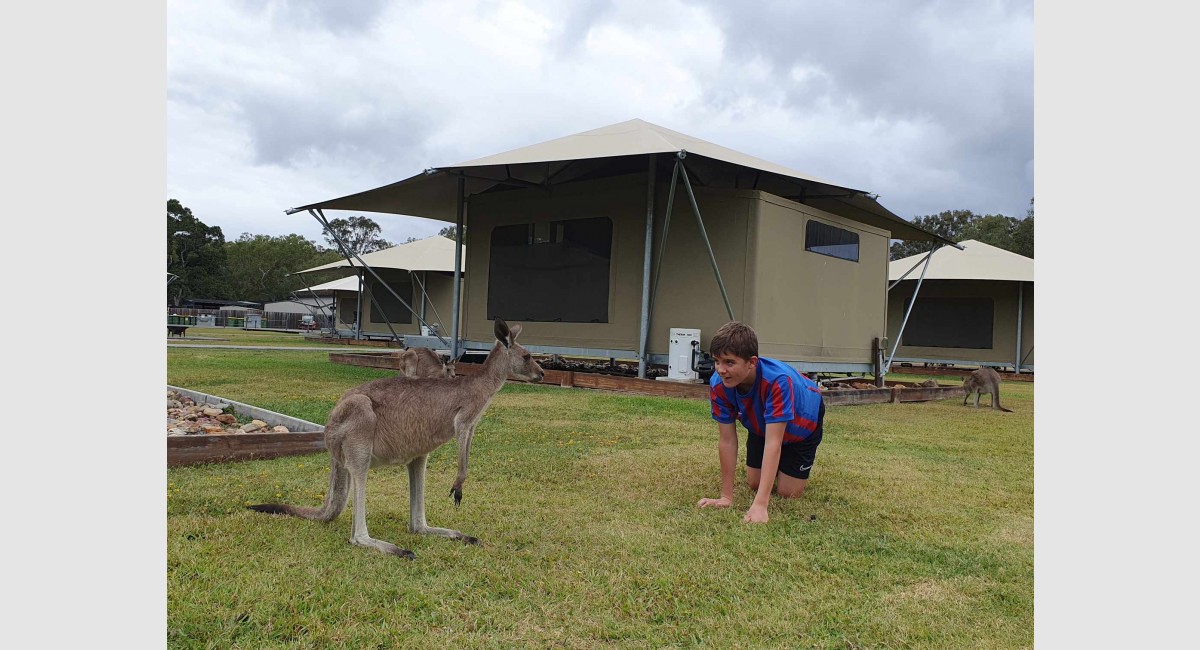 Australia meeting a Kangaroo Nov 2023