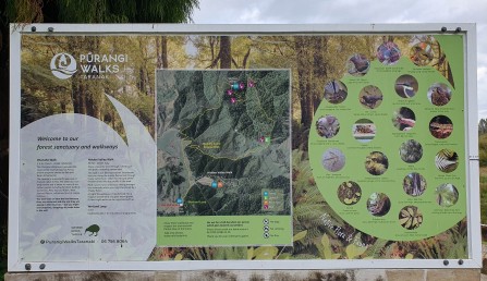 Purangi walks Jan 2023 Purangi walks Jan 2023