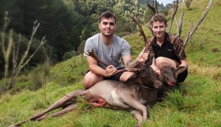 Sam Jayde fallow deer May 2021 Sam Jayde fallow deer May 2021